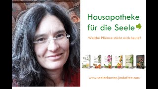 Hausapotheke für die Seele #1