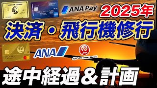 【2025年】クレカ決済・飛行機修行の途中経過＆計画！ANAはまだ…