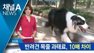 반려견 목줄 과태료 최대 10배 차이 ‘고무줄’