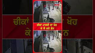 ਚੀਕਾਂ ਮਾਰਦੀ ਰਹਿ ਗਈ ਖੋਹ ਕੇ ਲੈ ਗਏ ਫੋਨ | Ludhiana Mobile Snatching | #shorts | N18S