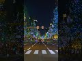 御堂筋イルミネーションドライブ（bgm jazz）driving osaka midosuji illumination japan short