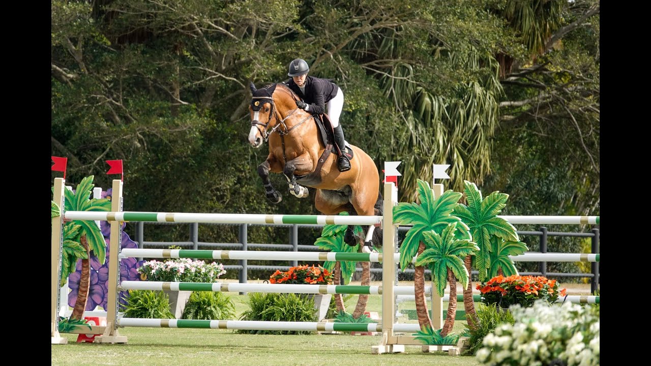 Panter Jvh Nikki Walker Wef 4 Csi4 Hermes Classic Cup 6th Place