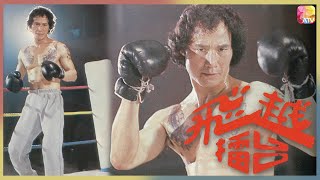 《飛越擂台》第24集 | 陳惠敏、梁小龍、岳華、蔣金、劉家勇、李麗麗 | The Boxer Ep24 | ATV