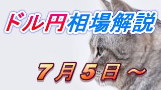 【FX】ドル円為替相場の予想と前日の動きをチャートから解説。日経平均、NYダウ、金チャートも。7月5日～