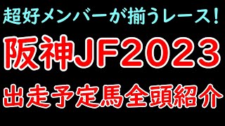 阪神JF2023出走予定馬を全頭紹介！ついに来たG1！チェルヴィニアは回避も超好メンバー揃った！【阪神ジュベナイルフィリーズ2023】