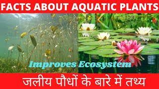 Amazing Facts about Aquatic Plants | जलीय पौधों के बारे में आश्चर्यजनक तथ्य | Sanjay Meena