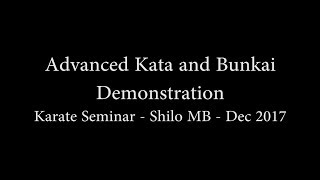 Advanced Kata and Bunkai Demonstration