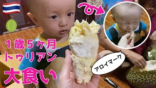 【1歳児ドリアン食べる？】ドリアンが旨過ぎて止まらない｜YouTuberゆうせい｜1歳5ヶ月