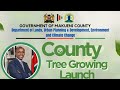 COUNTY TREE🌲GROWING LAUNCH