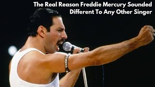 The Heartbreaking Truth Behind Freddie Mercury's Iconic Voice