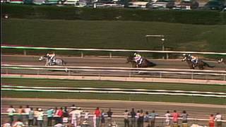 1986 Breeders' Cup Distaff