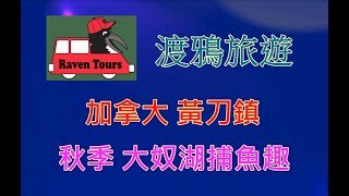 黃刀鎮Yellowknife 渡鴉旅遊Raven Tours - 大奴湖捕魚趣 Great Slave Lake Fishing