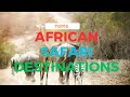 Top 10 Must Visit African Safari Destinations for Wildlife Enthusiasts