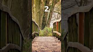 Which path would you choose?