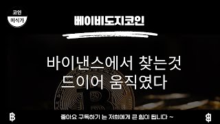 베이비도지코인전망) 바이낸스에서 찾는그것 ! 창펑자오의 니즈 충족!드디어 움직인다