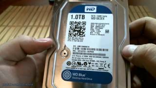 Жесткий диск Western Digital Caviar Blue WD10EZEX 1TB. Распаковка + микрообзор