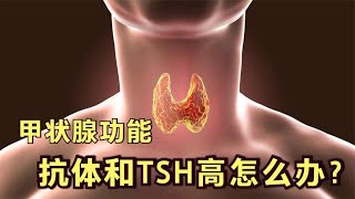 甲状腺功能报告中，甲状腺抗体和TSH都高，需要治疗吗？医生讲解