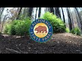 Big Basin Redwoods State Park Update - August 2021