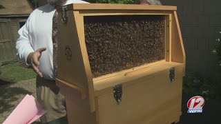 RI celebrates National Pollinator Week with Bee Rally