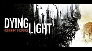 Dying Light 33 duo