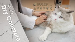 最貼心的動物醫院！讓毛小孩賓至如歸！ ft. 左岸動物醫院 #寵物醫院 #寵物  ＃大安 #毛小孩  #貓咪 #狗狗