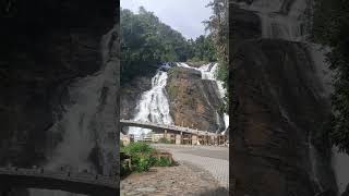 ചപ്പാറ water falls.