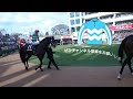 【またも1位】サマーセールで人気だった種牡馬は！日高でもあの馬が熱かった。【一口馬主】