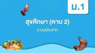 ระบบประสาท | สุขศึกษา ม.1 สุขศึกษา ม. 1