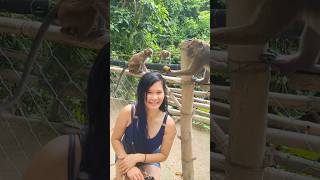 Monkey Watching Point Oslob, Cebu #shorts #foryou #fyp #travel #vacation #viral #pleasesubscribe