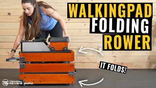WalkingPad WR1 Foldable Rowing Machine Review