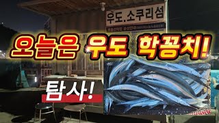 진해 우도방파제 학꽁치 탐사 !!  #학꽁치 #찌낚시 #낚시라이브 #명동선착장