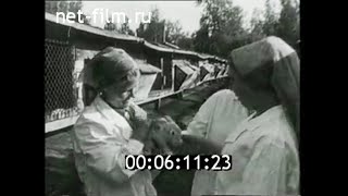 1972г. совхоз Рощинский село Горьковка Тюменская обл