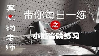 『老师我要练』古筝小撮音阶带练