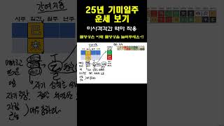 2025년 을사乙巳년 기미일주 운세_미사격각과 역마작용  #을사년운세  #25년운세