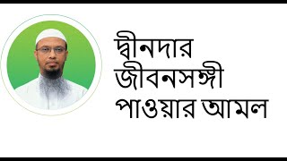 কিভাবে দ্বীনদার জীবনসঙ্গী পাবো? শায়েখ আহমাদুল্লাহ! Deendar life partner, Sheikh Ahmadullah!