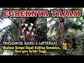 Palm Pruning Using The Sharpest Palm Egrek In Southeast Sulawesi