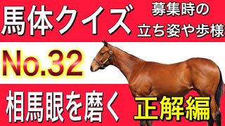 【一口馬主】馬体クイズNO.32 アンサー編　馬体の見方　馬体解説　パドック、出資馬に活かそう！　horse race   racehorse Japan