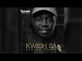 Kwiish SA - Teka (Main Mix) (feat. De Mthuda & Da Ish) - [Visualizer]