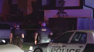 New data shows what Houston-area voters really think about neighborhood crime and police