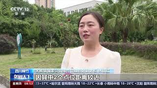 [朝闻天下]四川绵竹 红外相机多次拍到野生大熊猫活动视频|新闻来了 News Daily