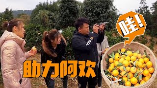 QingSister and LaoFei helped A Huan sell oranges, and left a surprise quietly?