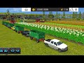 Farming Simulator 16 How To Harvest All Types Crops ? Fs 16 Gameplay | Fs16 Timelapse #fs16