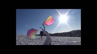 Beautiful Flag Poi - Katy Kartwheel