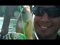 troutsiders kauai saltwater experience hd