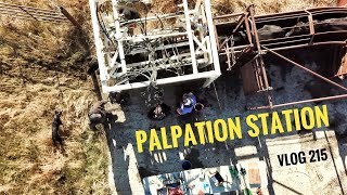 PALPATION STATION vlog 215