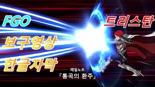 [FGO 한글자막]트리스탄 보구