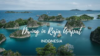 Raja Ampat Diving | Indonesia | 2019