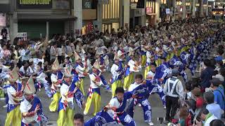 帯屋町筋 2019 よさこい全国大会 帯屋町筋会場 帯パラ前 [4K] 08.12