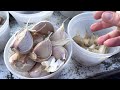 planting garlic in a northern climate. full instructions