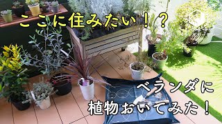 【ベランダガーデン】ベランダに植物置いたらオシャレすぎた…！